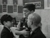 The Dog and the Diamonds (1953)