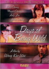 Days of Being Wild (1990)