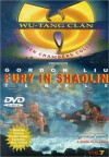 Fury in the Shaolin Temple (1979)