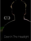 Deer in the Headlight (2015)