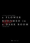 A Flower Bloomed in a Dark Room (2019)