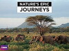 Nature's Epic Journeys (2016)