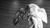 The Nike of Samothrace (2006)