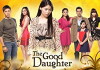 The Good Daughter (2012)