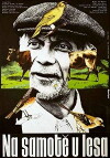 Secluded, Near Woods (1976)