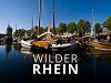 Wilder Rhein (2013)