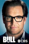Bull (2016)