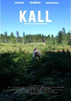 Calling (2017) - Stream Online