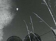 Pojken och draken (1962) - Stream Online