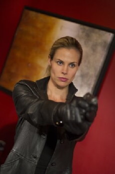 A Sister's Revenge (2013) - Stream Online