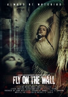 Fly on the Wall (2018) - Stream Online
