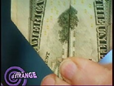 La soirée de l'étrange (2005) - Stream Online