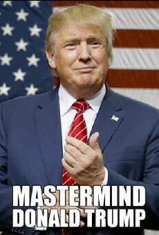 Mastermind Donald Trump (2017) - Stream Online