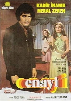The Dupe (1974) - Stream Online