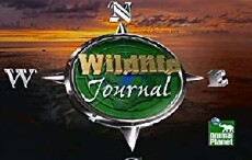 Wildlife Journal (2004) - Stream Online
