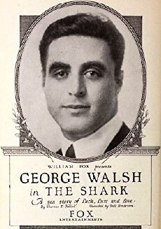The Shark (1920) - Stream Online