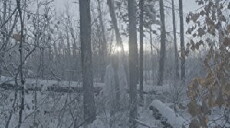 Once There Was a Winter (2017) - Stream Online