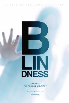 Die Stadt der Blinden (2008) - Stream Online