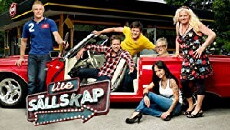 Lite sällskap (2010) - Stream Online