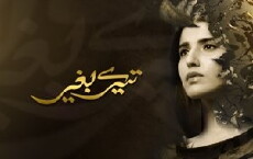 Tere Baghair (2015) - Stream Online