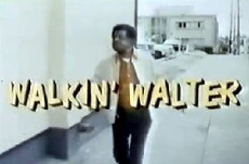 Walkin' Walter (1977) - Stream Online
