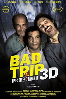 Paranormal Bad Trip 3D (2014) - Stream Online