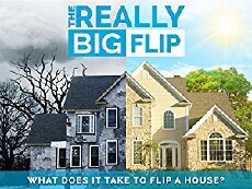 The Really Big Flip (2008) - Stream Online