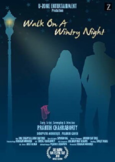 Walk On A Wintry Night (2018) - Stream Online
