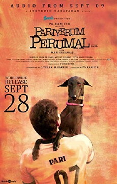 Pariyerum Perumal (2018) - Stream Online