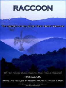 Raccoon (2017) - Stream Online