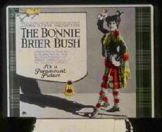 The Bonnie Brier Bush (1921) - Stream Online