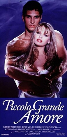 Piccolo grande amore (1993) - Stream Online