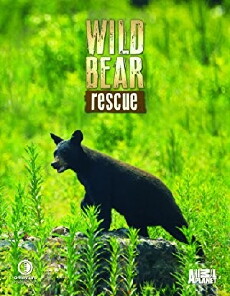 Wild Bear Rescue (2017) - Stream Online