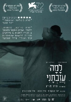 Why Hast Thou Forsaken Me (2015) - Stream Online