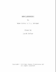 Bewilderness! (2018) - Stream Online