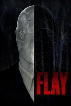 Flay (2017) - Stream Online