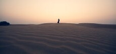 The Song of Scorpions (2017) - Stream Online