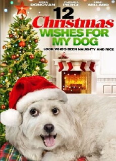 12 Wishes of Christmas (2011) - Stream Online