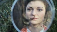 L'ampélopède (1974) - Stream Online