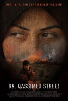Shaqami Dr Qassimlu (2013) - Stream Online