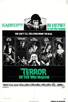 Terror in the Wax Museum (1973) - Stream Online