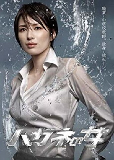 Hagane no onna (2010) - Stream Online