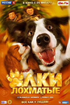 Paws, Bones & Rock'n'roll (2015) - Stream Online
