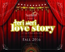 Teri Meri Love-Story (2016) - Stream Online