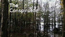 The Conspirator (2012) - Stream Online
