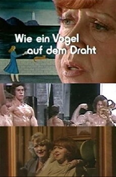 Wie ein Vogel auf dem Draht (1975) - Stream Online