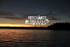 Merchants of the Wild (2018) - Stream Online