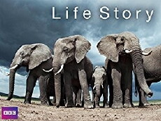 Life Story (2014) - Stream Online