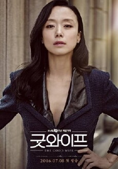 The Good Wife (2016) - Stream Online