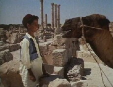 Ali and the Camel (1960) - Stream Online